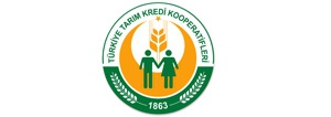TKDK